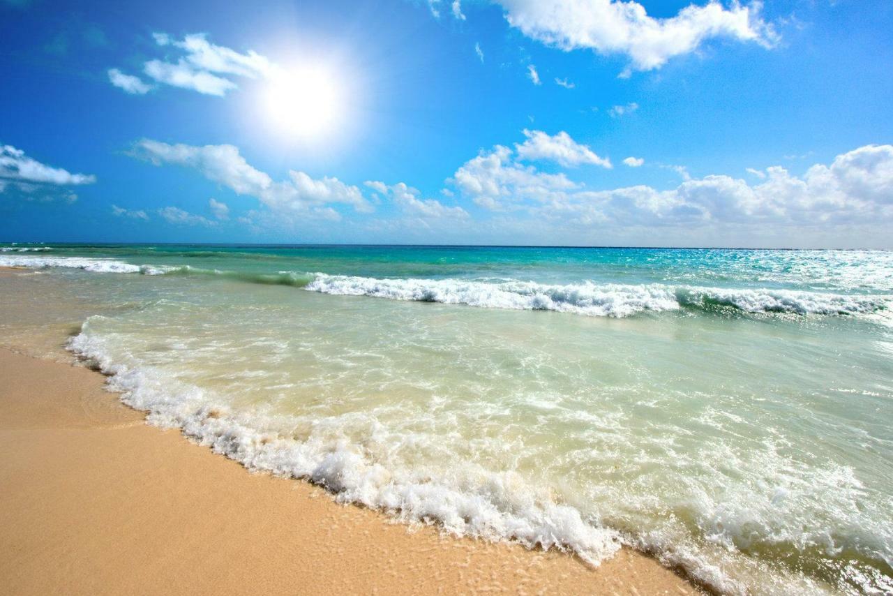 קאנט אן רוסיון Beau Studio A 1 Minute De La Plage מראה חיצוני תמונה
